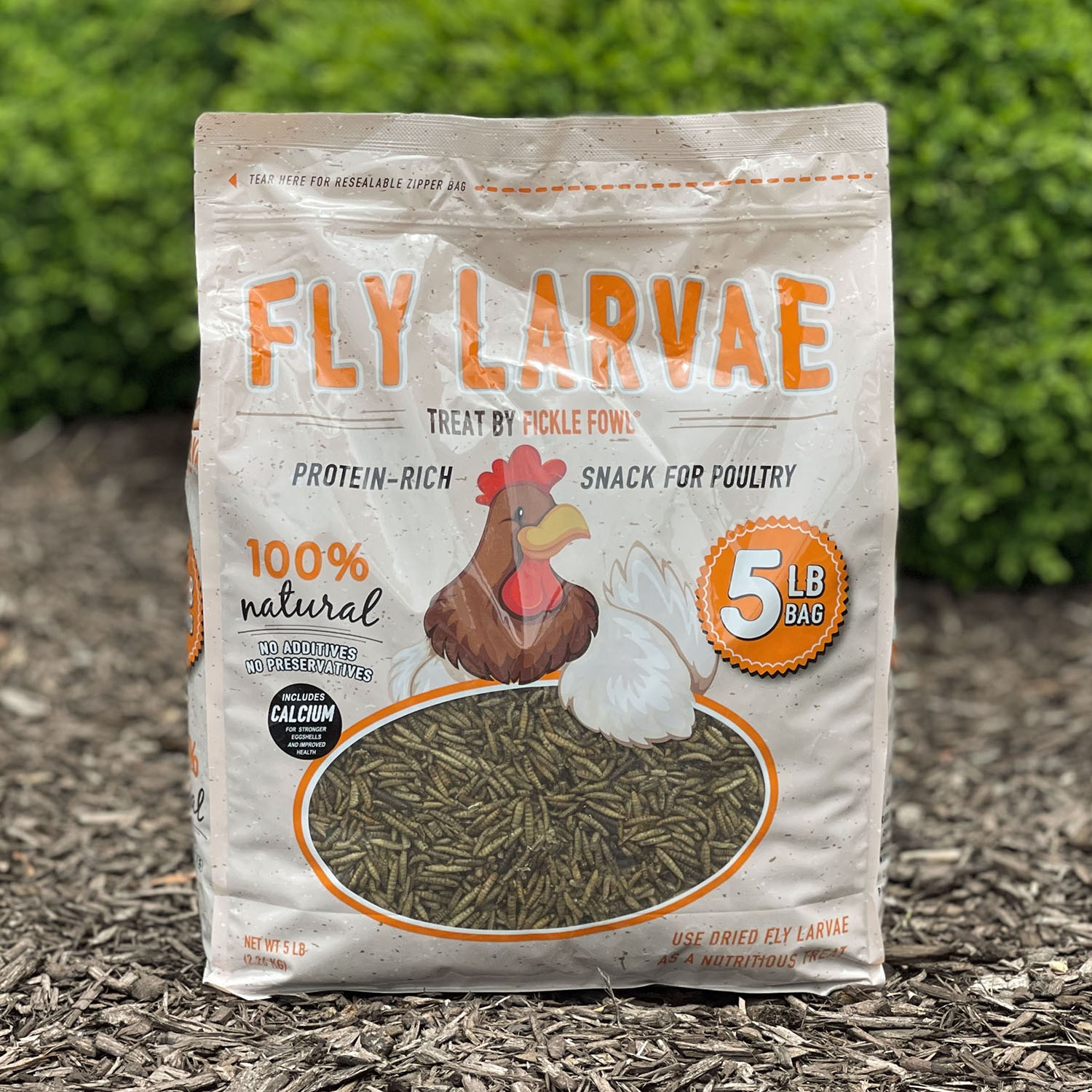 5 Lb Bag Black Soldier Fly Larvae
