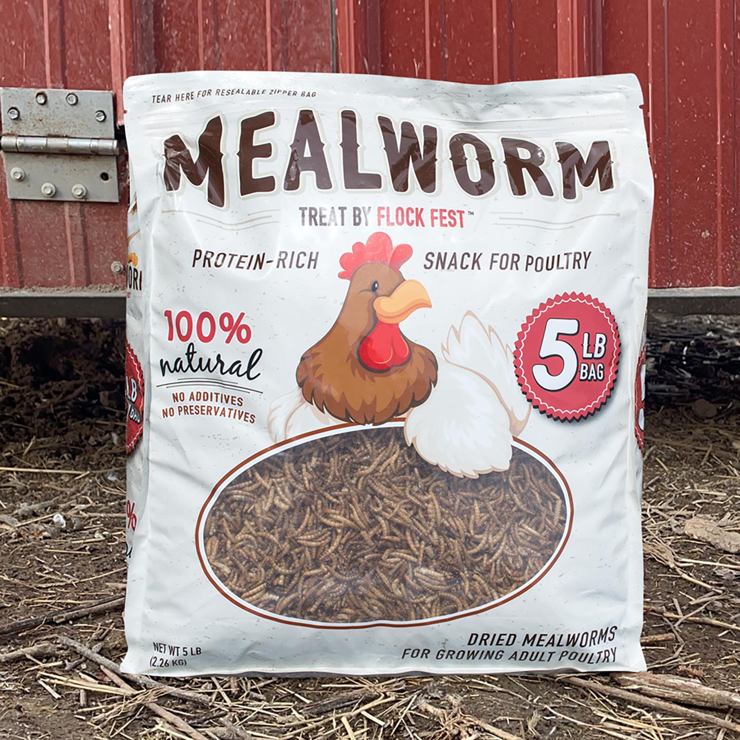 Dried Mealworms