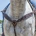 SADDLE