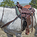 SADDLE