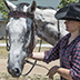 SADDLE