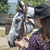 SADDLE